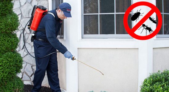 Eşme Hamam Böceği İlaçlama böcek ilaçlama ve haşere kontrolü — ilaclama-tr.com
